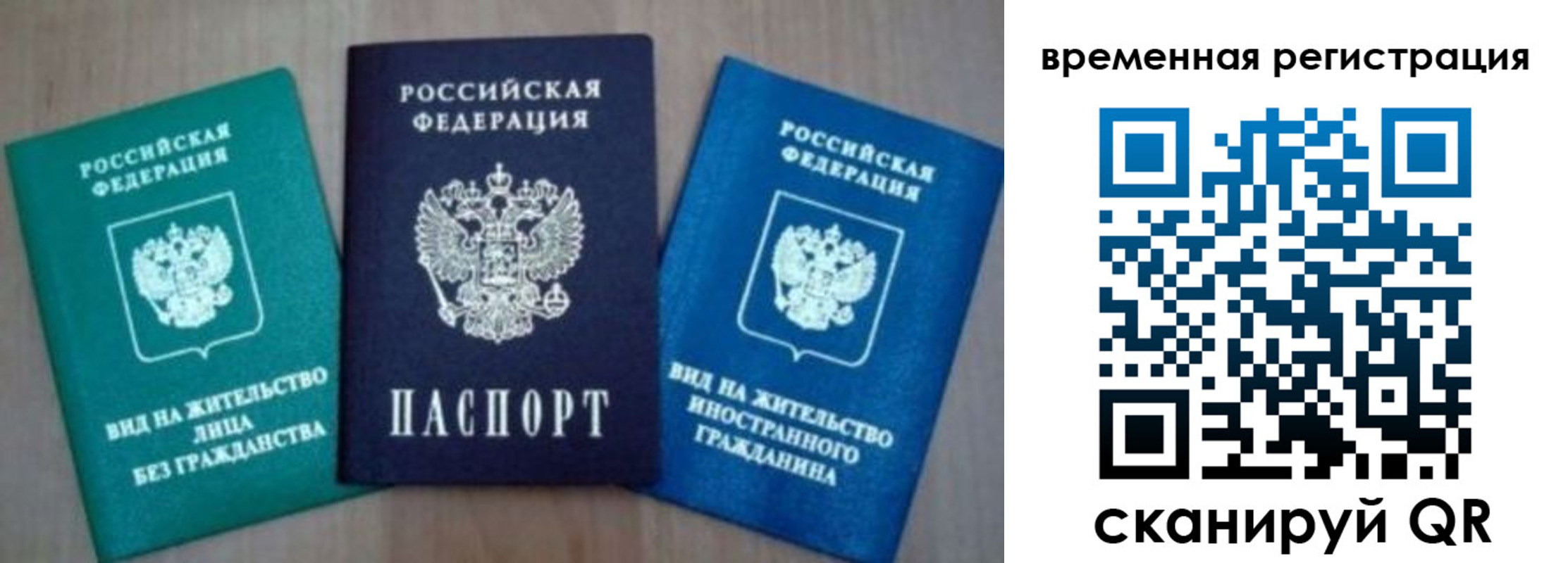 временная регистрация надежно в Светлогорске